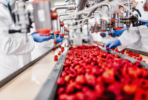 Applications of Shivpriya Exporters ingredients